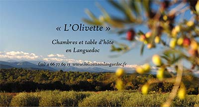 vignette-visite-olivette3