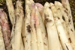 asperges-avant-lavage-3