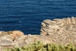 cap-de-creus-parc-naturel-6