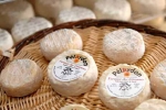 chevre-et-pelardon-1