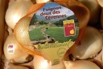 oignon-doux-st-andre-de-majencoules-4