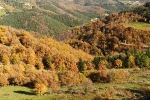 st-roman-de-codiere-automne-2