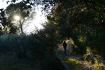 sommieres-promenade