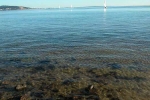 meze-etang-1-1