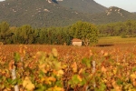 pic-st-loup-2