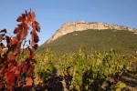 pic-st-loup-et-horthus-2