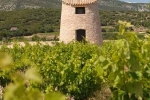 st-saturnin-terroir-1