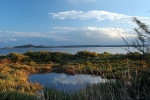 bages-1