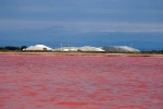 aigues-mortes-salins-du-midi-14