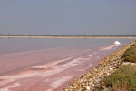 aigues-mortes-salins-du-midi-2