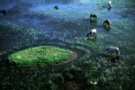 petite-camargue-tour-carbonniere-2