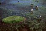 petite-camargue-tour-carbonniere-2_0