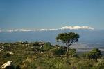 canigou-1