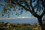 canigou-2