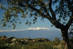 canigou-2