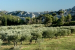 alpilles-5