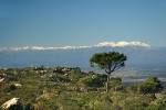 canigou-2