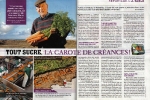 carotte-de-creances-1-web