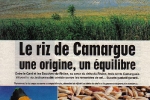 riz-de-camargue-web