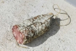 saucisson  (1)