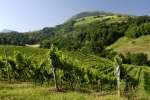 pays-basque-st-jean-p-de-porc-4-web