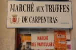 truffe-10