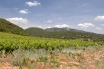 st-saturnin-biodynamie-6