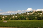 terroir-villevieille-1