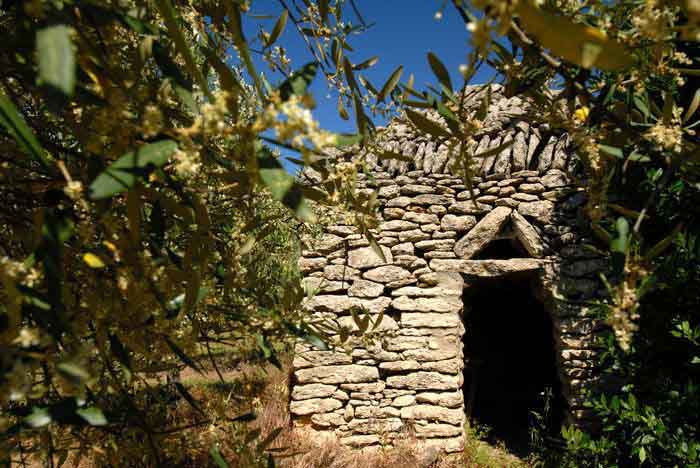 Capitelle de pierre sèche dans le terroir oléicole du sommiérois, Gard - France